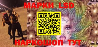 гидропоника Будённовск