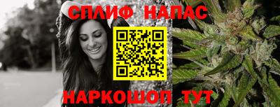 гидропоника Будённовск