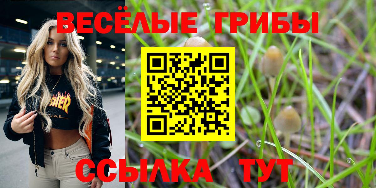 Красноярск  Псилоцибиновые грибы ЛСД  Галлюциногенные грибы Psilocybe  Вход с VPN 