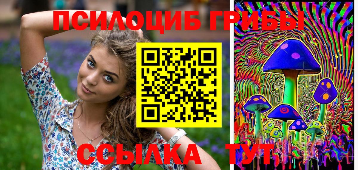 Галлюциногенные грибы Cubensis Красноярск